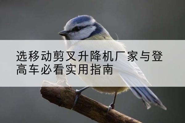 普兰电动升降机厂家-选移动剪叉升降机厂家与登高车必看实用指南