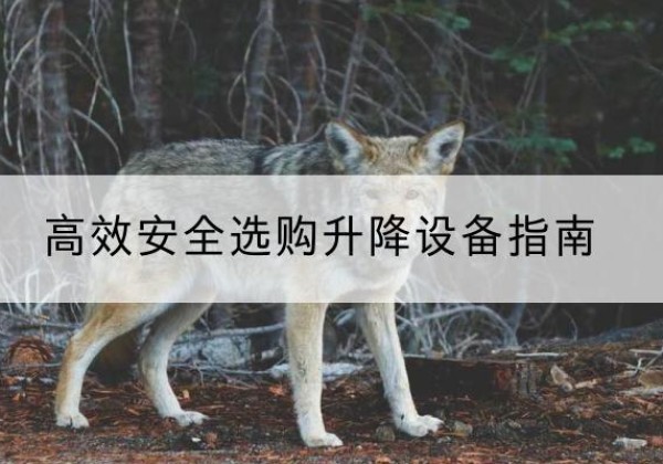 普兰升降货梯厂家推荐-*安全选购升降设备指南